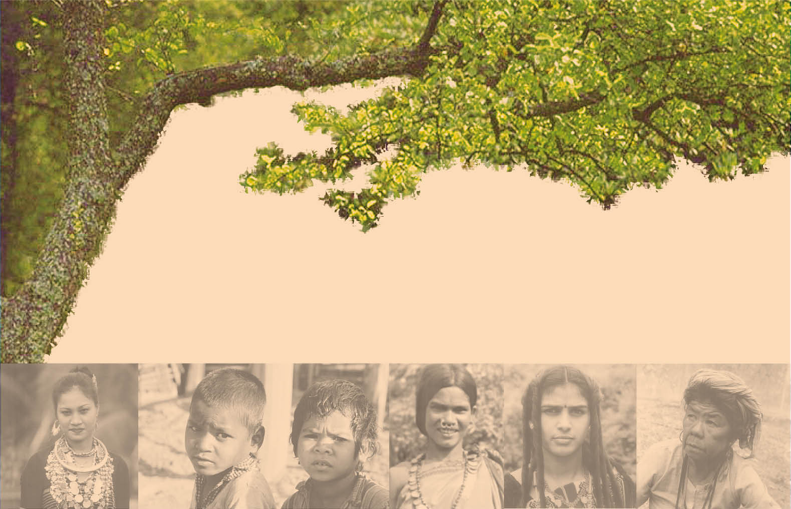 Primitive Tribal Groups